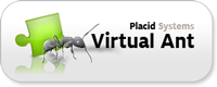 Virtual Ant